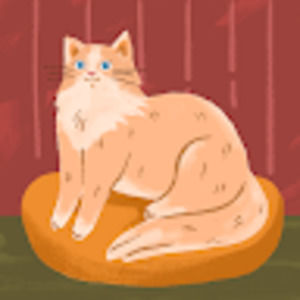 Meet your Posher, Cecilia